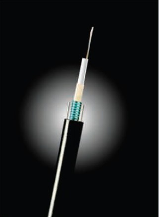 �L(zh��ng)�w���|-12о