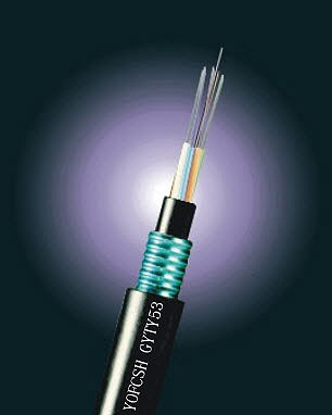 �L(zh��ng)�wGYTS53�؄P���|